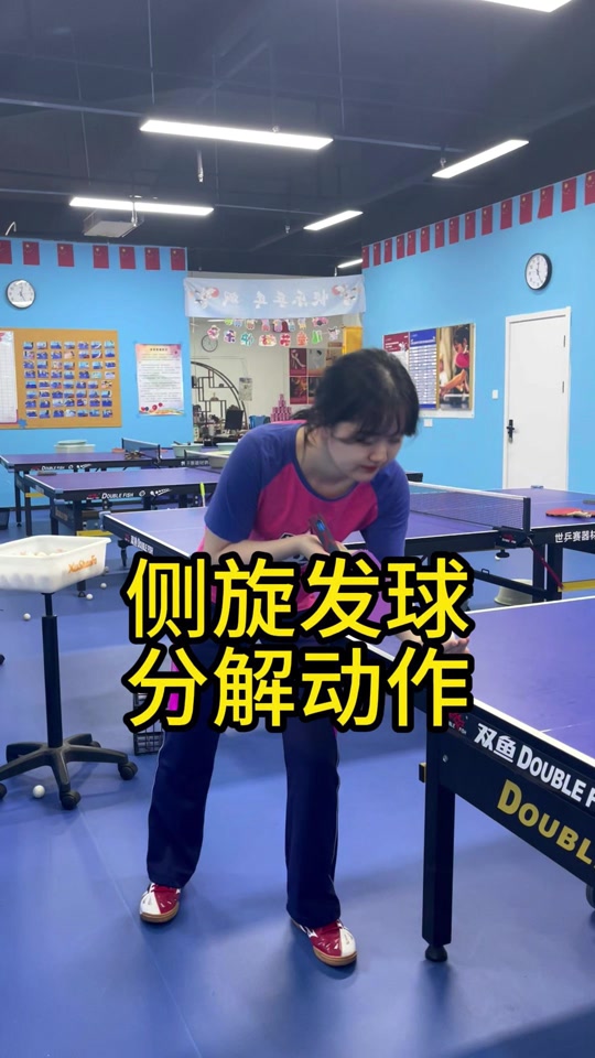 乒乓球陪练(乒乓球陪练何卓佳)